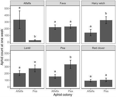 Experimental evidence reveals that vector host preference and performance across host plants is not altered by vector-borne plant viruses